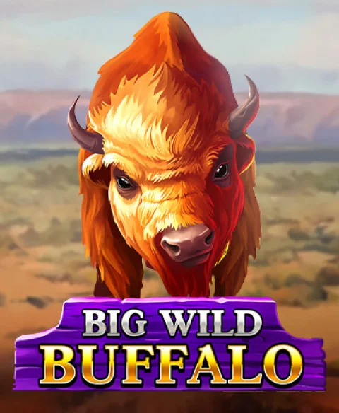 Play Big Wild Buffalo at Casitsu Casino